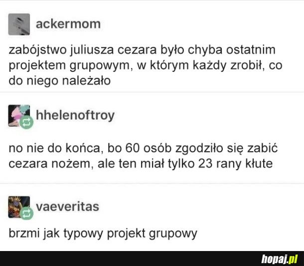 Projekt grupowy