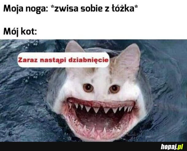 I po nodze