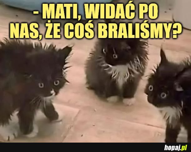 Widać coś? 