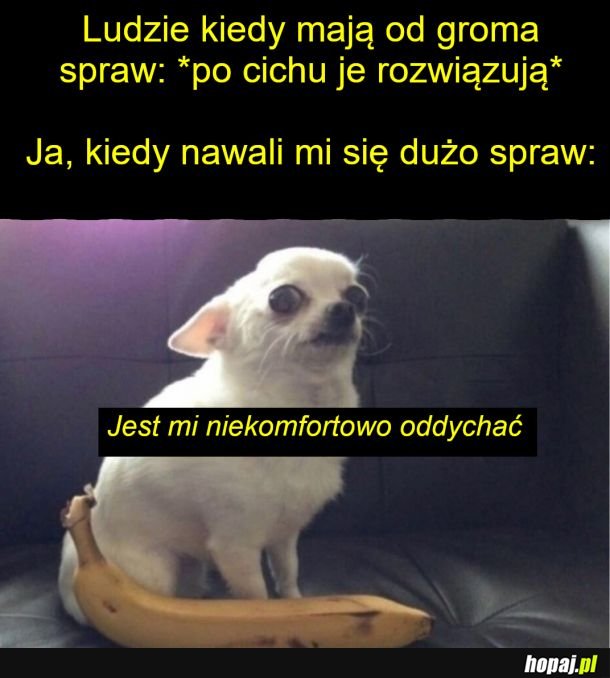 Muszę się żalić