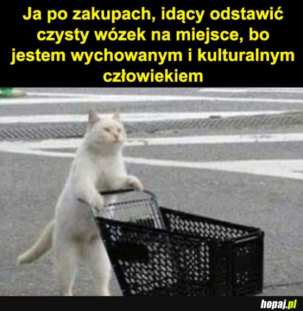 Tak jest