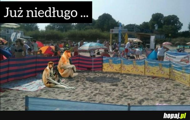 Już niedługo 