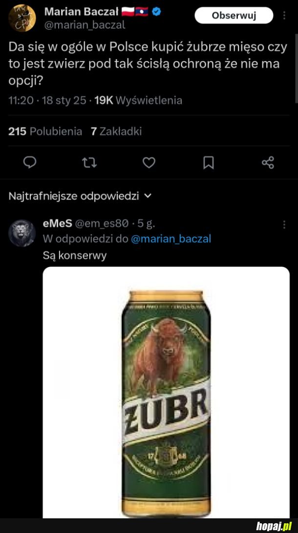 Żubrze mięso