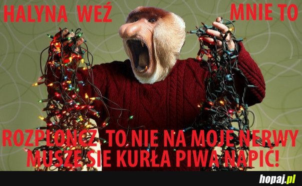 WEŹ MNIE TO ROZPLONCZ