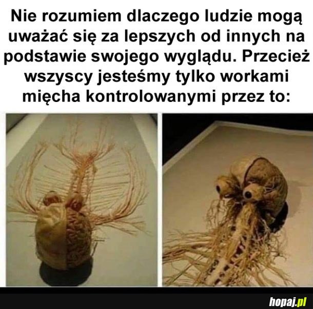 Każdy ma to w sobie