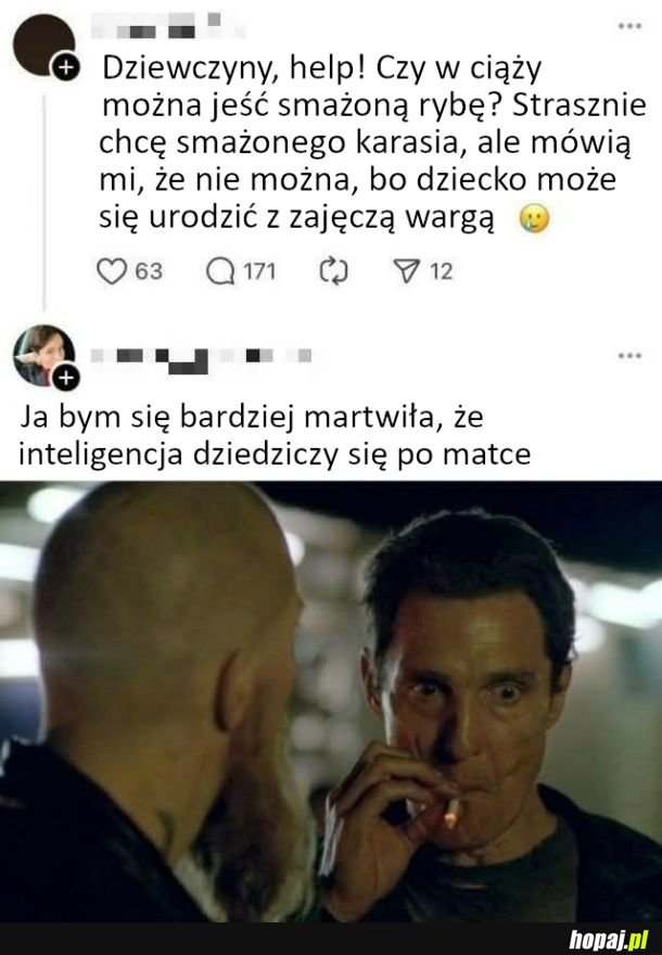 Zajęcza warga