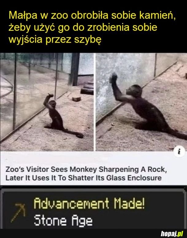 Czy to zalążki ewolucji?