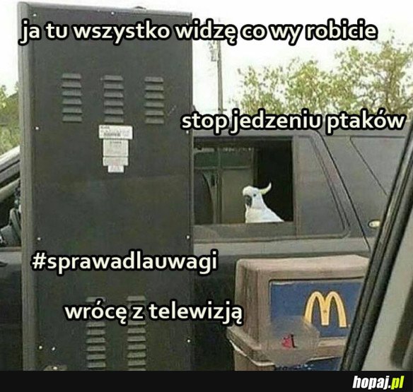 CO TU SIĘ WYPRAWIA