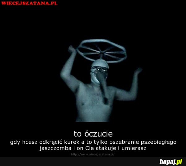 Wiecejszatana.pl