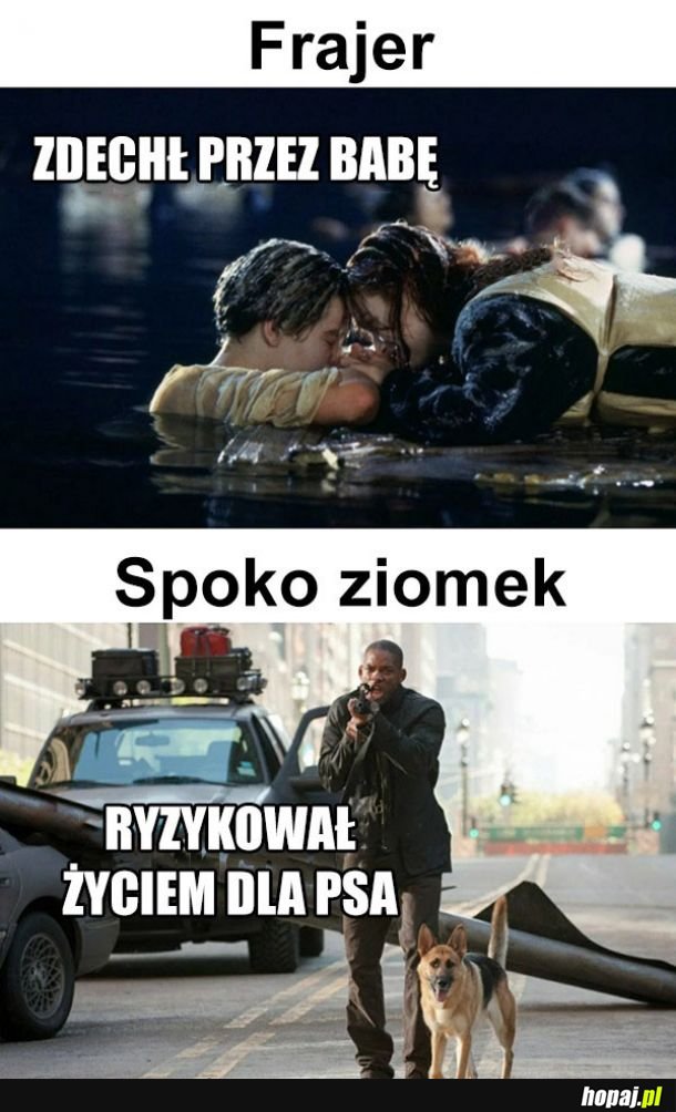 Spoko ziomek