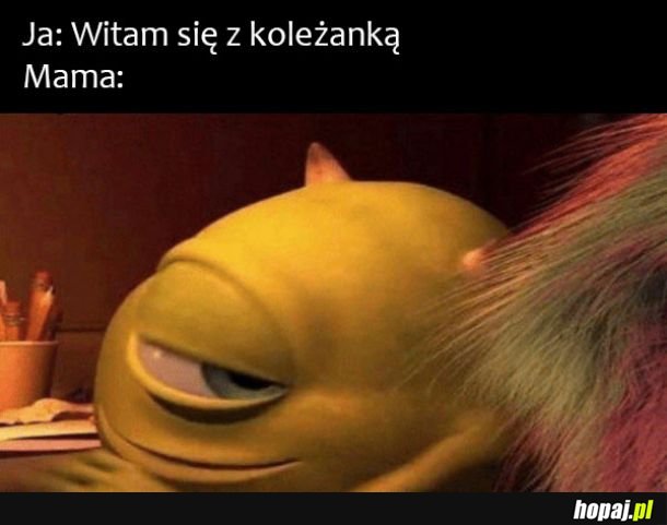 Koleżanka