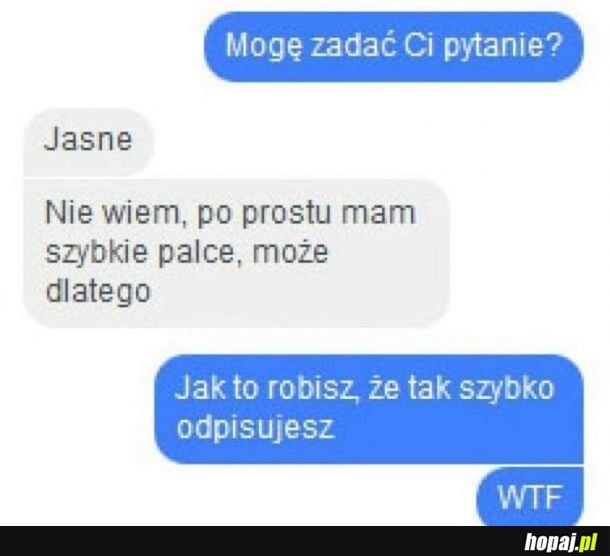 Jedno pytanie