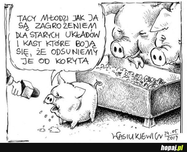 NOWI I MŁODZI...