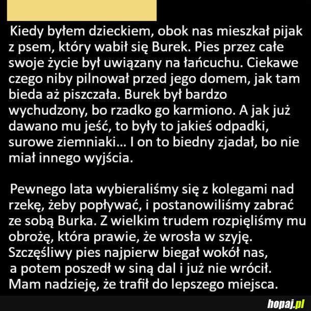 Serce się kraje