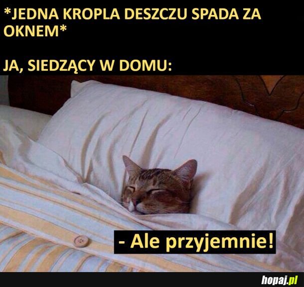 I luzik