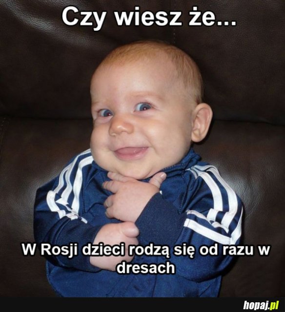 Ciekawostka