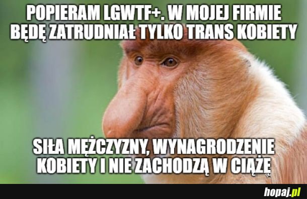 Jestę januszę byznesu