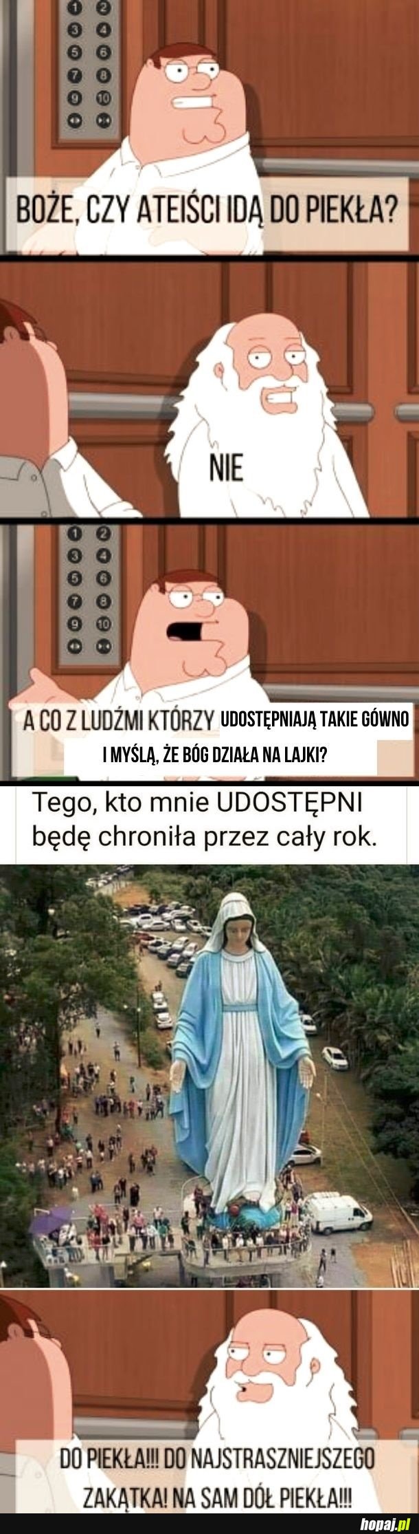 Maryjka sępi lajka