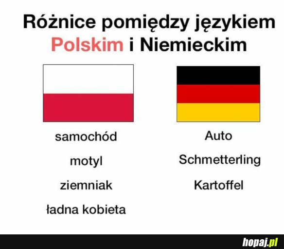 POLSKA VS NIEMCY