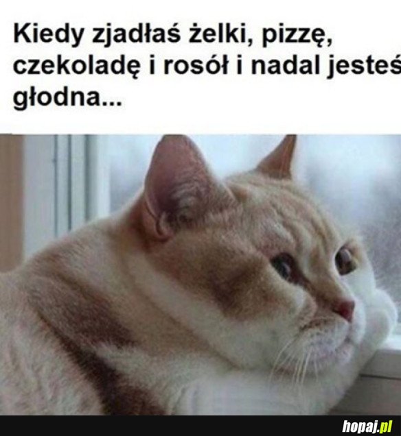 DALEJ GŁODNA...