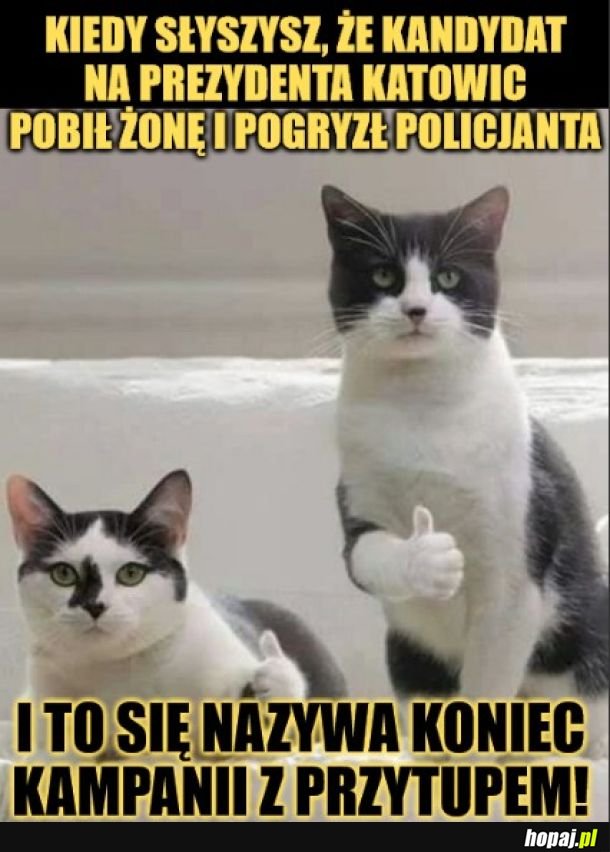 Fajnie. 