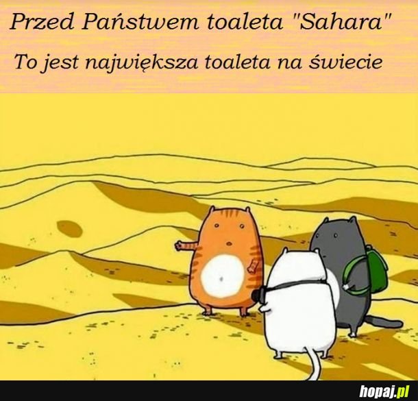 Koteły