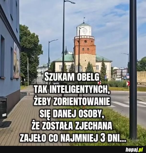 Szukam