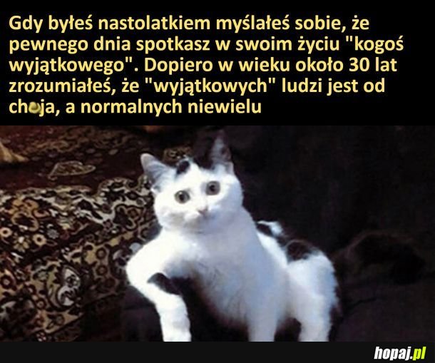Normalni nienormalni