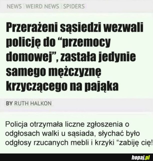 Przemoc domowa