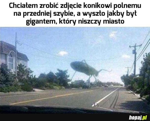 Ratuj się kto może
