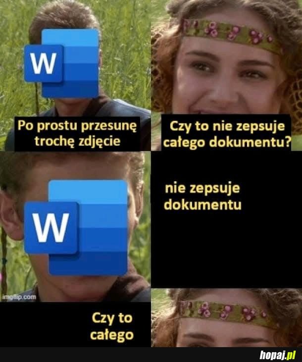 Typowy MS Word