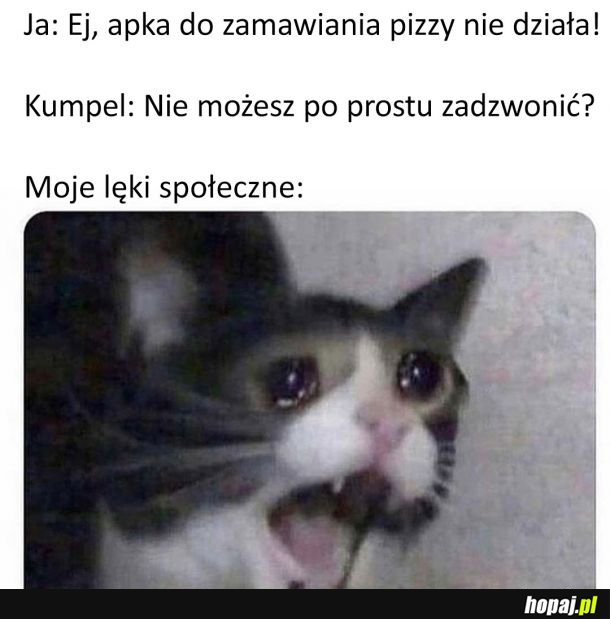 Zadzwonić? Oszalałeś?!