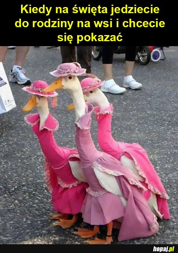 Powrót na święta