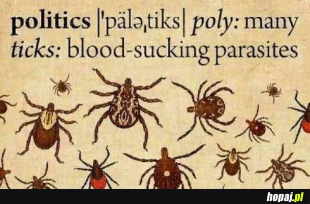 Definicja polityków