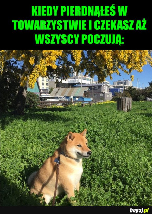 TAK TO WYGLĄDA