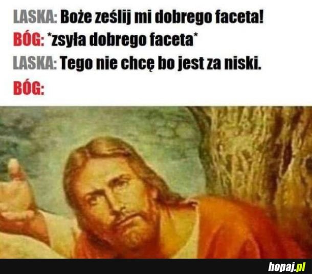 Logika lasek 