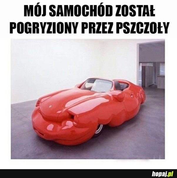 BIEDNY SAMOCHÓD