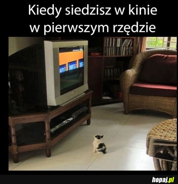 Pierwszy rząd