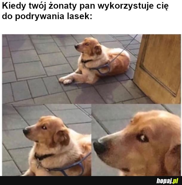  Jak możesz Tomek? 