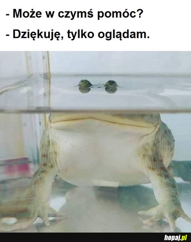 Na zakupach