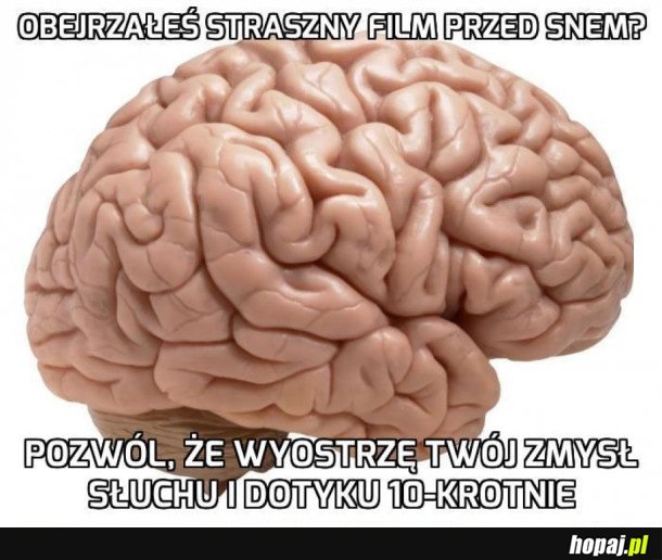 MÓZG W STRACHU