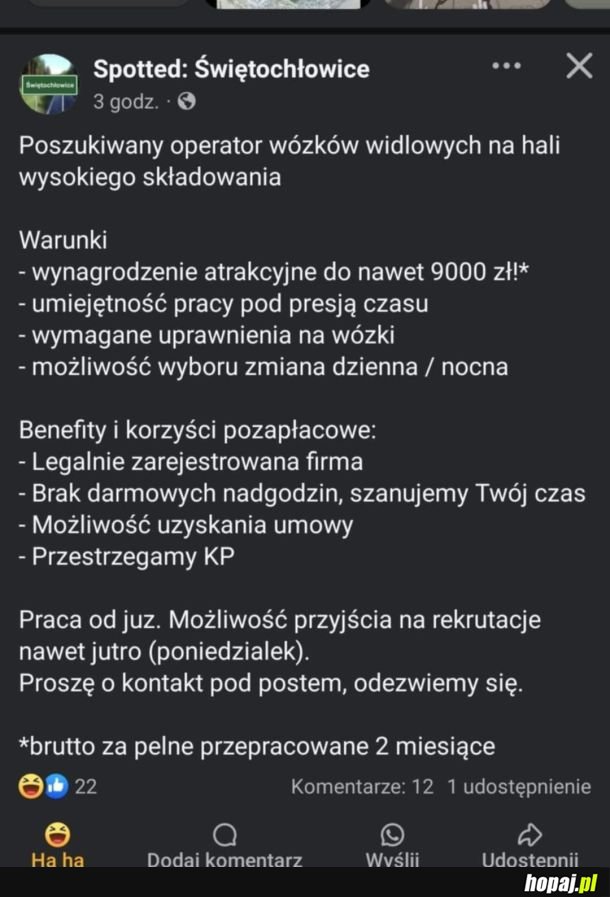 Robota szuka człowieka