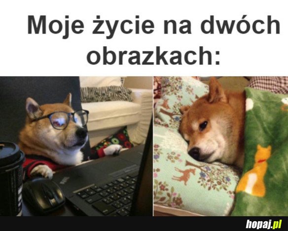 MOJE ŻYCIE