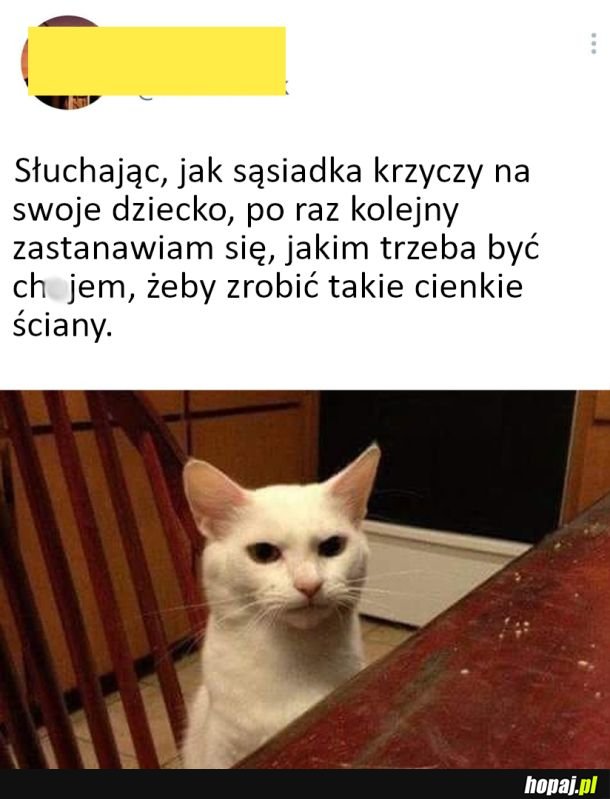 Ludzie nie mają litości