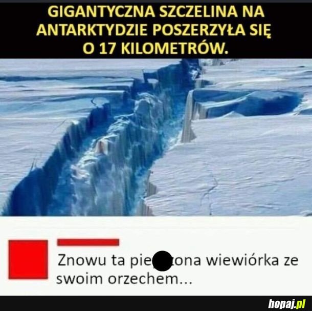 Wiewiór zawsze bawi XD