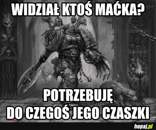 WIDZIAŁ KTOŚ MAĆKA