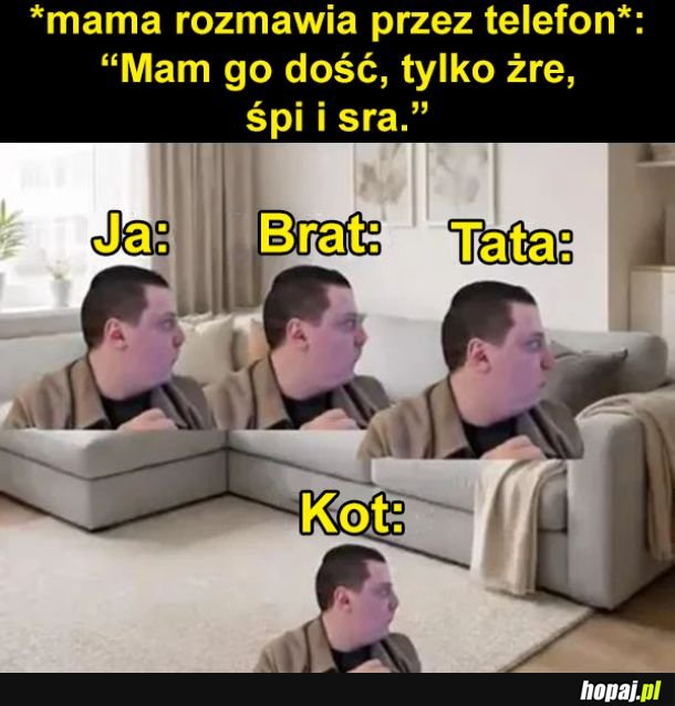 25% szans