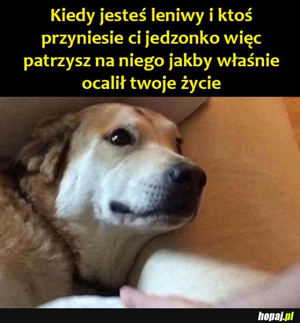 Szczera miłość