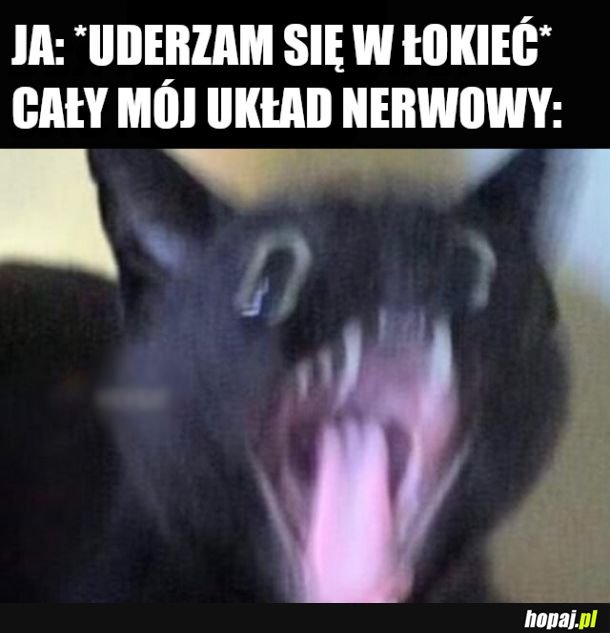  Łouo, to miejsce, które czyni prąd 