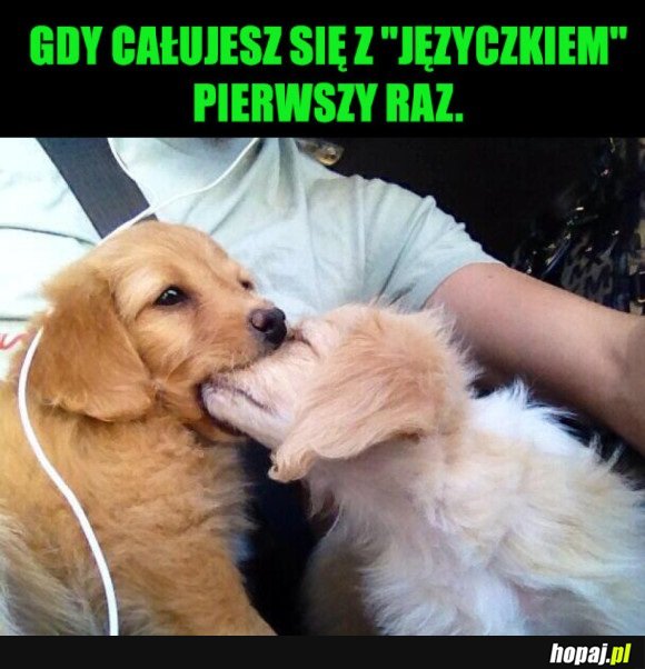 PIESEŁY